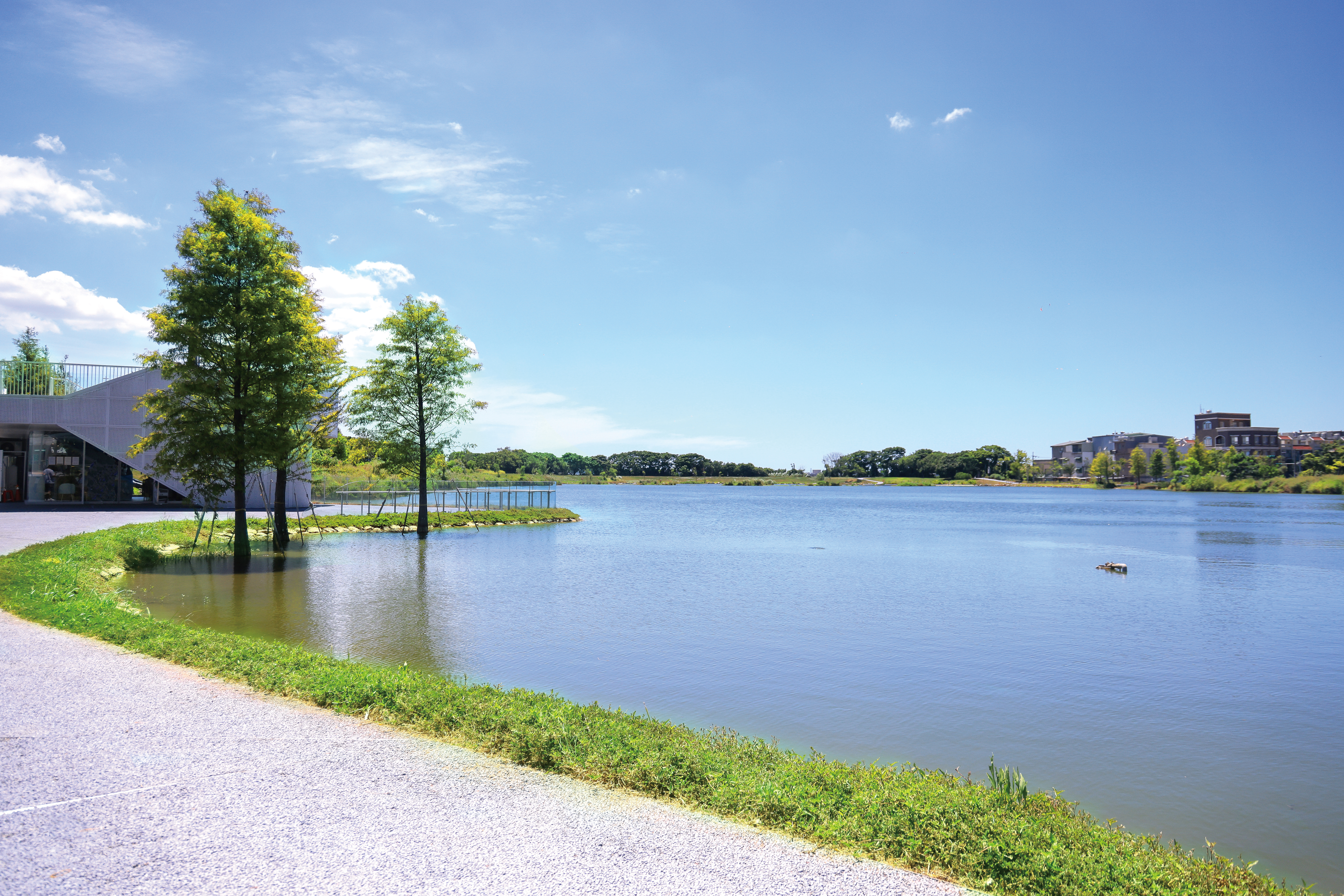 生態埤塘公園情境